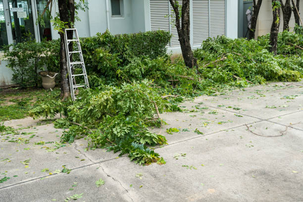 Best Storm Damage Tree Cleanup  in Myerstown, PA